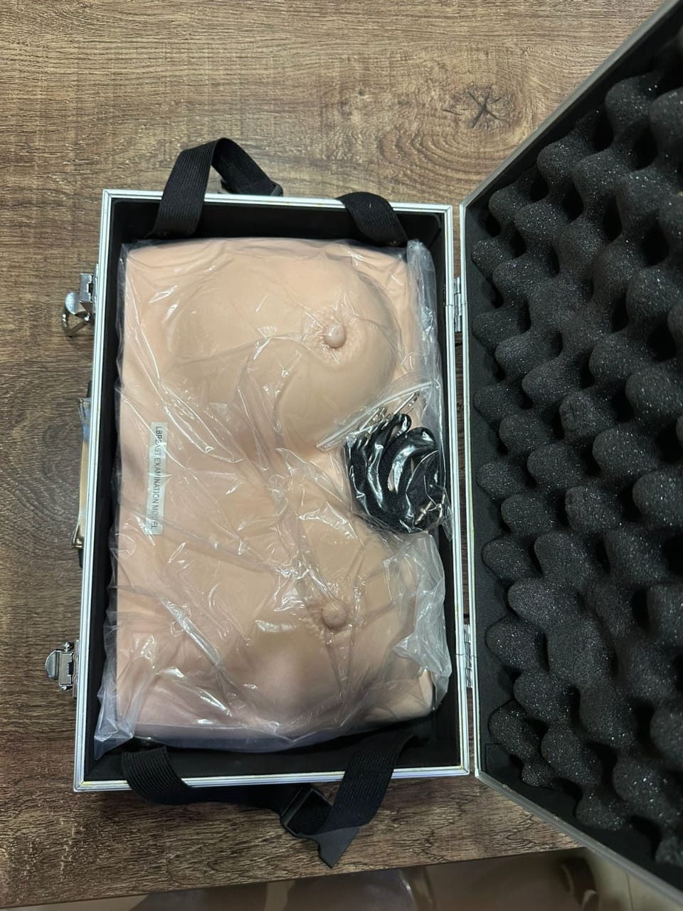 Breast Inspection Model