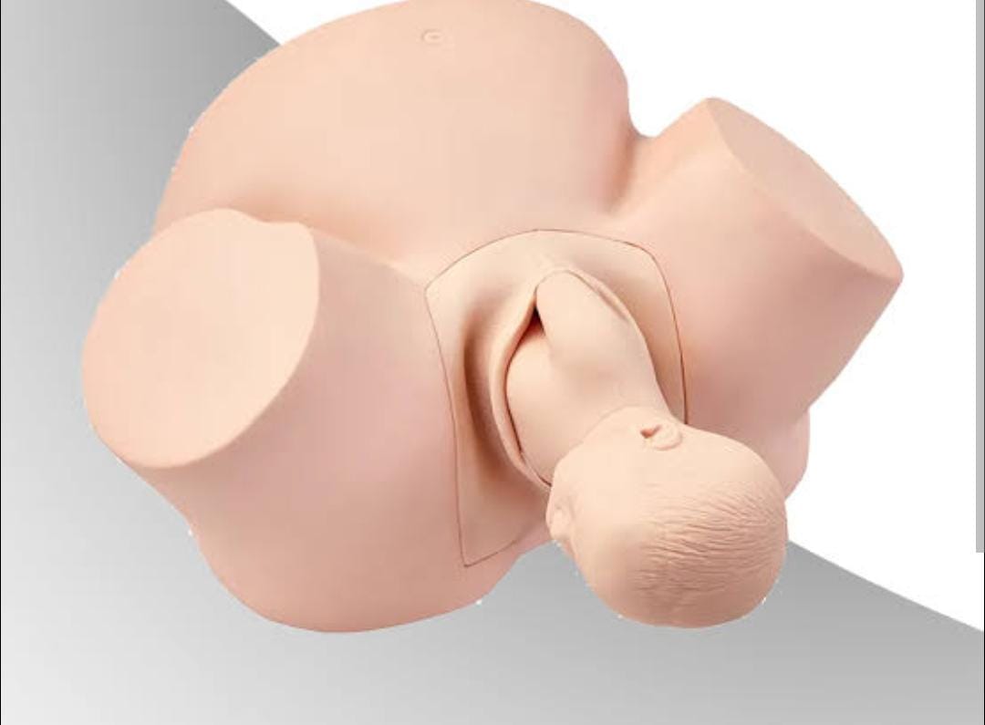 Midwifery training model